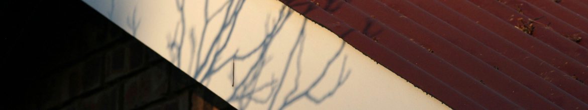 How to Safely Remove Mould from Your Roof